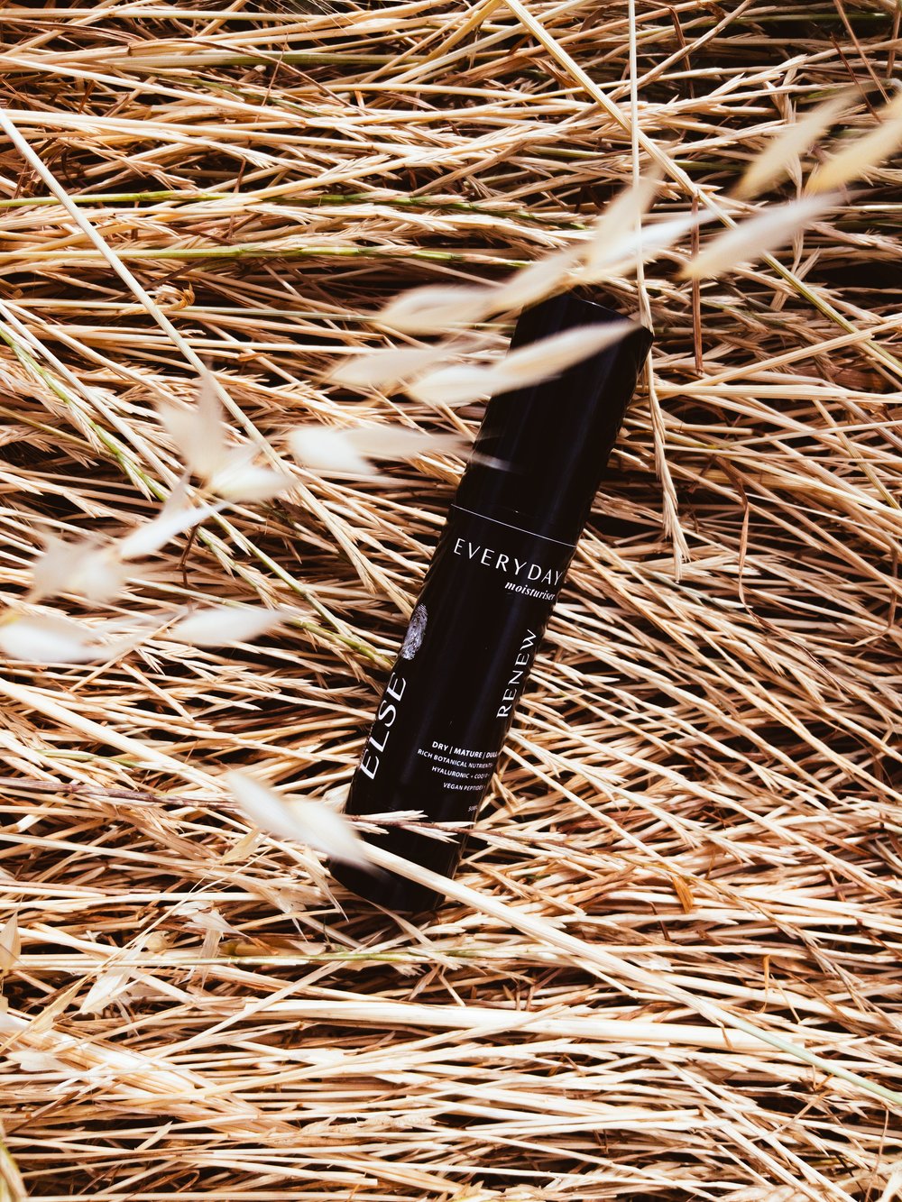 Renew Everyday Moisturiser 50mL