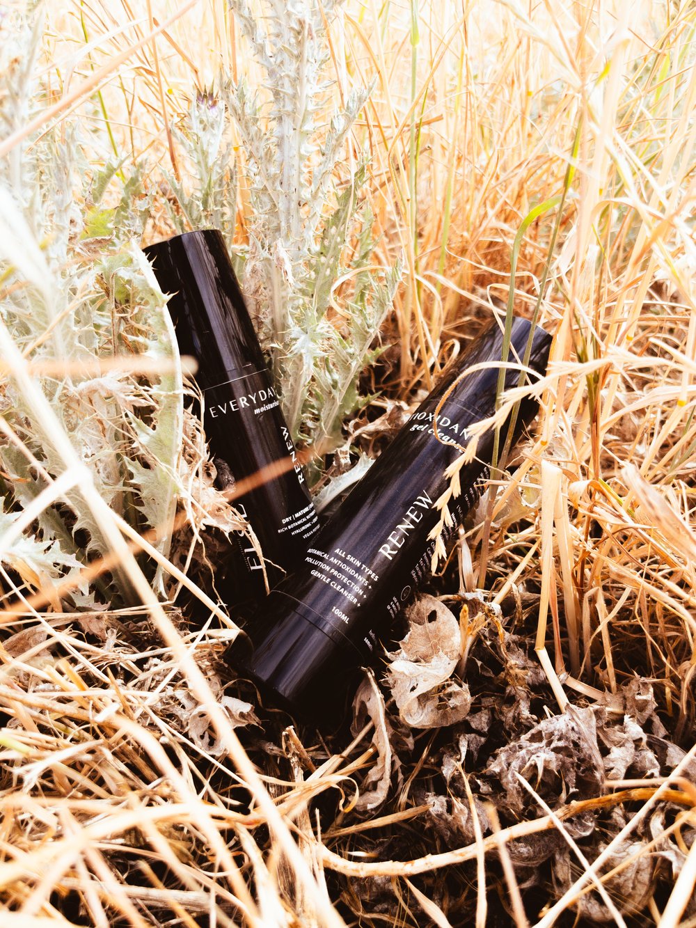 Renew Essentials Collection